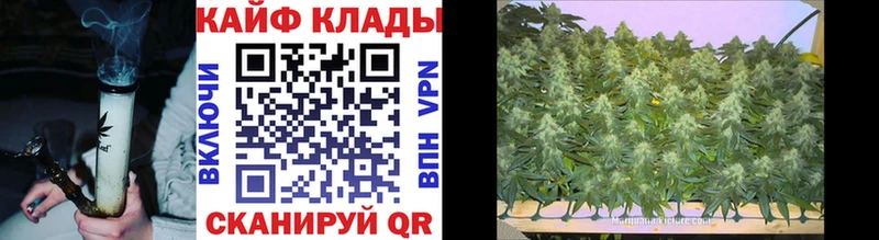 Наркотические вещества Грязи Конопля  Псилоцибиновые грибы  АМФ  Меф  Гашиш  COCAIN 