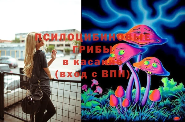 спайс Абдулино