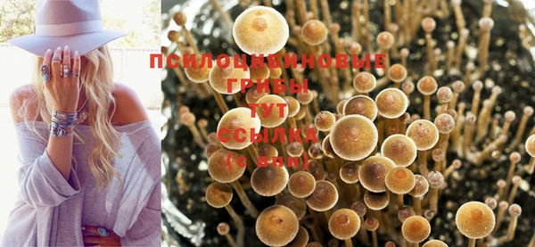 прущая мука Абаза